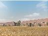 WH0801VIEWC